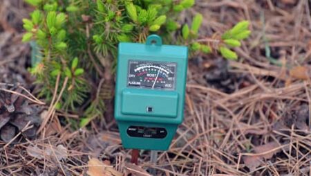 Why it’s important to monitor soil pH rate