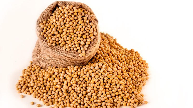 5 Amazing Facts About Soybeans