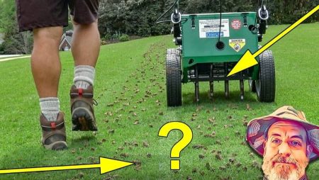 How To Aerate Your Lawn